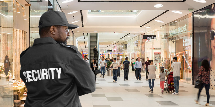 You are currently viewing Retail Security Services